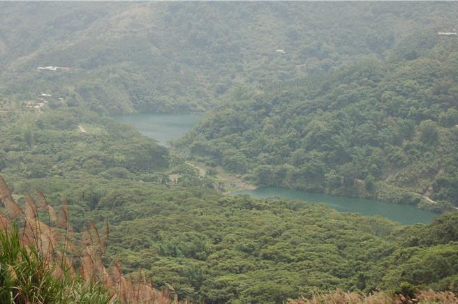 九份二山的涩子坑溪、韭菜湖溪2个堰塞湖已经26年，歷经整治成了生态栖所，也是观光景点。（民眾提供／杨静茹南投传真）