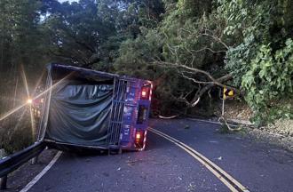 北宜路樹倒塌！大貨車閃避不及撞上橫躺在地   道路中斷2小時
