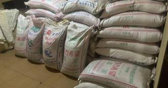 千畝玉米血本無歸！農民疑買到假種子  損失上百萬求償卡關