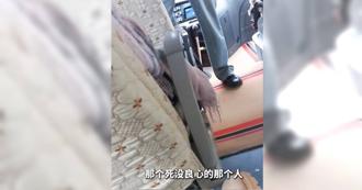 導遊飆罵旅客「死沒良心、不消費的讓你受氣」涉高額回扣引調查