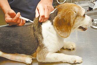 寵物醫療數據 驅動保單設計