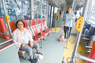 台南假日友善狗狗公車 9月27日試辦