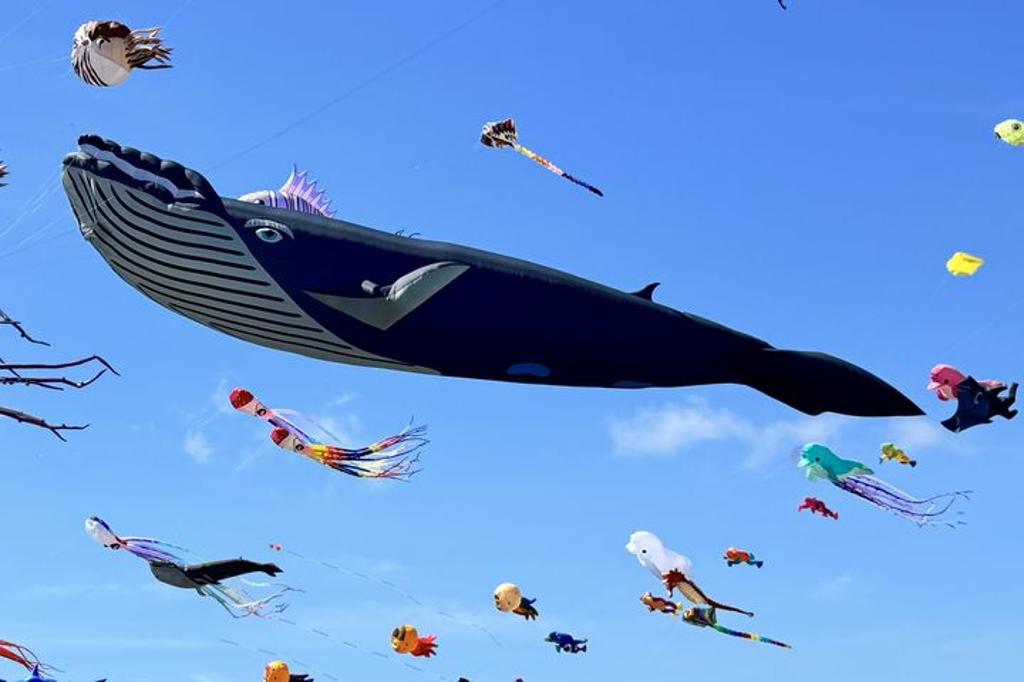 成功鎮「遨遊成功。誰與箏風」風箏節將於09/28在成功海濱公園盛大舉行！（圖／台東縣成功鎮公所）