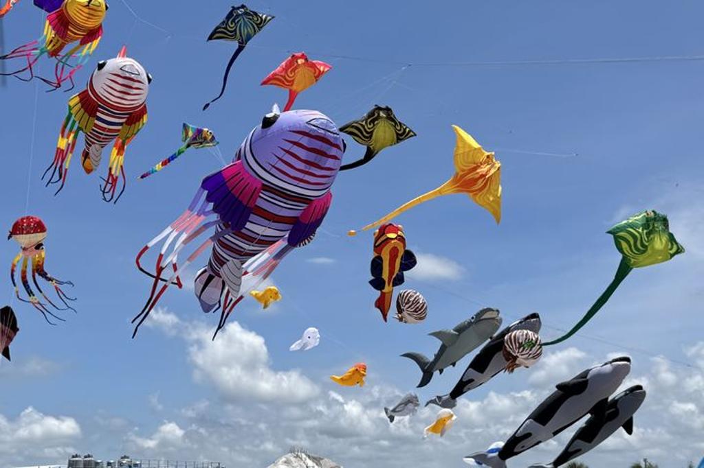 今年風箏節以「大鯨旗．大成功」為主題，展現成功海洋文化、生態特色。（圖／台東縣成功鎮公所）