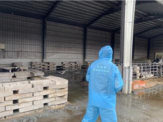 花蓮洪災農損破2.4億 120肉牛、3000肉雞遭沖走