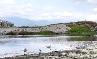 台东太平溪河床惊见女尸！全身赤裸「头部破碎」 警清查身分