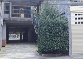 女遭虎妈软禁疑虐死「遗体黑乾枯」 高大成曝手机纪录成关键