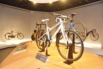 美祭暫扣令 巨大營收恐掉5％