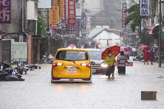花东财产险 投保率偏低