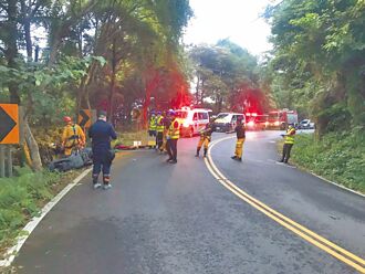 桃园 压头溺死失智父 男判囚11年