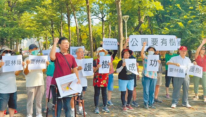 高雄三民公园因设施老旧将改造，环团反对移除「林荫大道」61棵树，市府大转弯，决议保留41棵树。（纪爰摄）