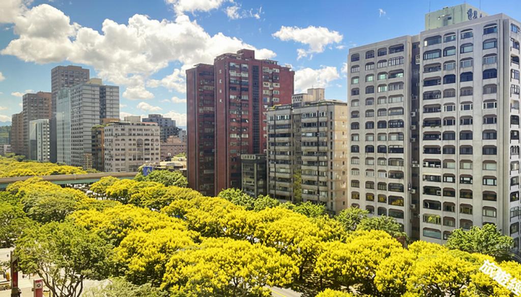 敦化南路台灣欒樹美景，飯店視角。（圖／台北遠東香格里拉）