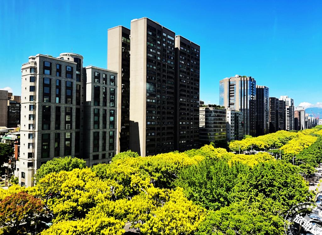 敦化南路台灣欒樹美景，飯店視角。（圖／台北遠東香格里拉）