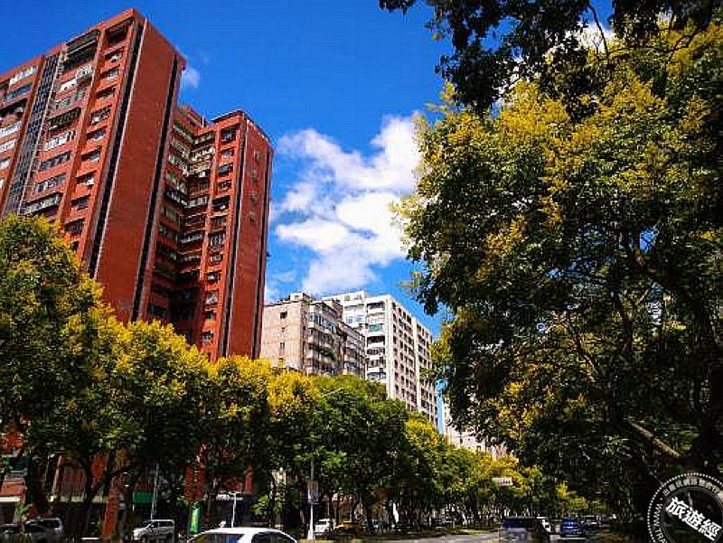 敦化南路上台灣欒樹開滿金黃花朵。（圖／台北市政府工務局公園處）