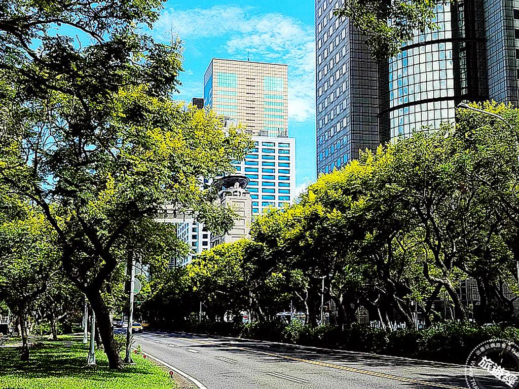敦化南路欒樹開花展現金燦燦的色彩。（圖／台北市政府工務局公園處）