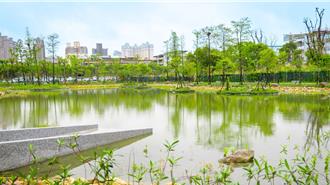 驚險！新店綠湖公園小兄弟玩耍落水　民眾合力救起送醫