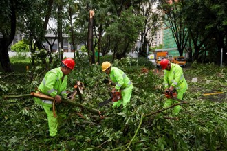 颱風放假補班被投訴 深圳貿易公司：改為正常休假但「取消14天年假」