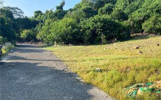 旗山空地惊见2人倒卧车内 经商父女1死1命危