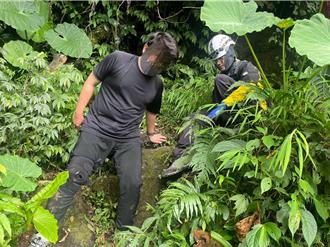  台師大登山社驚魂 遇虎頭蜂大軍攻擊 2人螫傷
