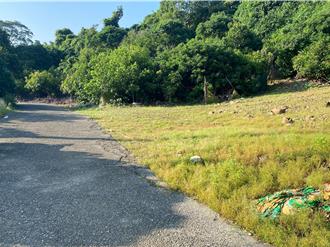 高雄建商父女倒卧车内1死　女儿前胸中2刀疑致命伤