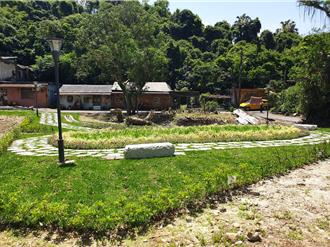 新北绿家园专案落实 校园周边换上新绿衣