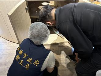 一番地壽喜燒夢時代店爆蟑螂亂竄！衛生局開罰了