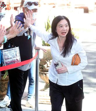 涉京華城案   應曉薇今以「證人身份」出庭應訊