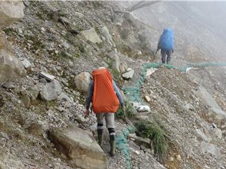 最高薪資近5萬！南投招考8名森林護管員 10月底截止報名