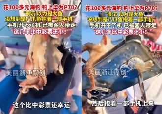 出海体验钓鱼超幸运！ 八爪章鱼上鉤附赠「万元手机」