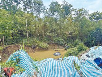 馬頭山地主擺爛 高市府將重罰