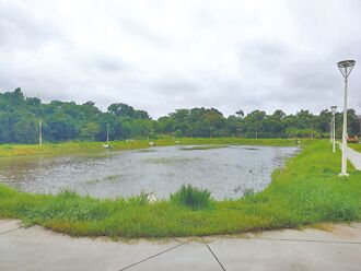 公園設計走調 草皮積水養蚊子