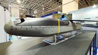 低成本自主巡弋飛彈梭魚曝光