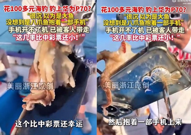 大陸福建遊客出海體驗釣魚，釣起一隻小章魚，還附贈一隻華為手機。（翻攝微博）