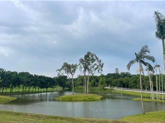 禁止寵物與高球！高雄「果嶺自然公園」限制惹民怨