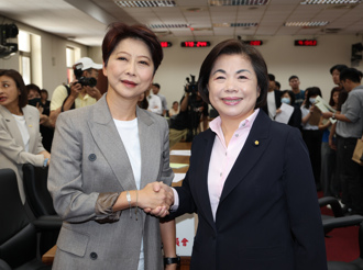 拚台南市長初選仍接經濟委員會召委  陳亭妃親曝原因