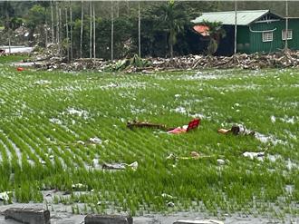 花蓮300公頃農地遭埋50公分厚淤泥 恐20年難復耕