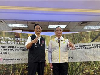 航空城見珍稀植物 專家：上次看到已30年前