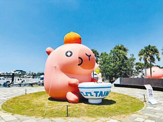 卡比胖拉出沒 現身臺南萌翻天