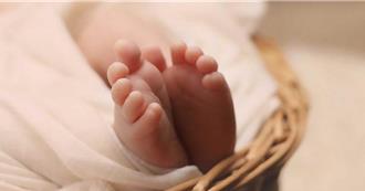 陸育兒補貼申報破2881萬筆 官方籲防詐騙：申領不收費