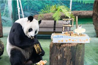 動物園「111解密」活動條件太嚴苛 園方緊急加碼