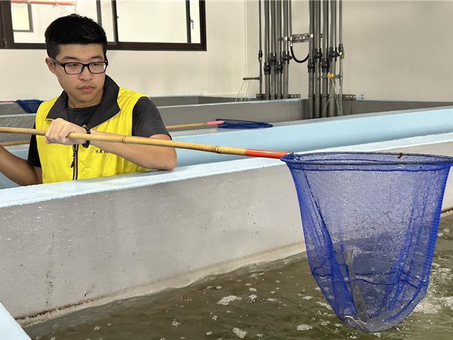 耗時3年打造的「東港蝦藻類種原庫」2日落成啟用，專責保存白蝦、草蝦、泰國蝦等經濟蝦類，預計明年初釋出首批白蝦蝦苗，讓台灣蝦類產業鏈能穩定自給。（謝佳潾攝）