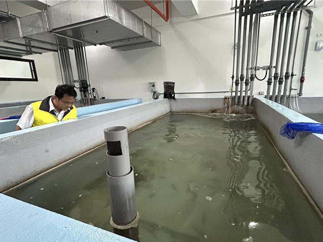耗時3年打造的「東港蝦藻類種原庫」2日落成啟用，專責保存白蝦、草蝦、泰國蝦等經濟蝦類，預計明年初釋出首批白蝦蝦苗，讓台灣蝦類產業鏈能穩定自給。（謝佳潾攝）