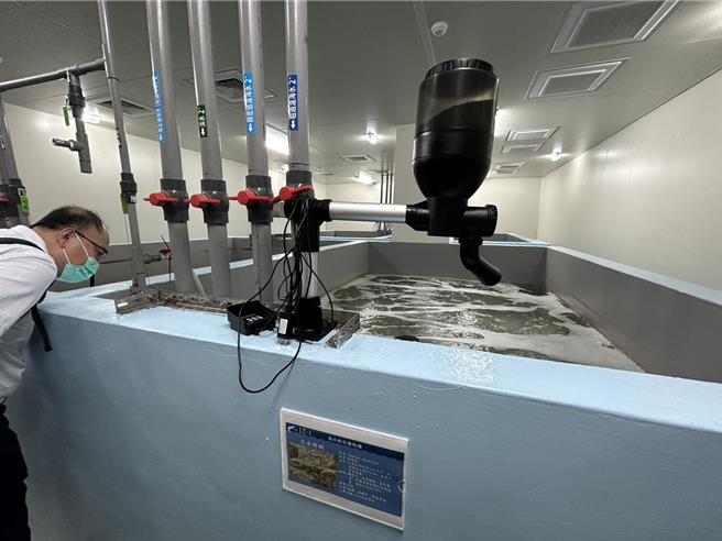 耗時3年打造的「東港蝦藻類種原庫」2日落成啟用，專責保存白蝦、草蝦、泰國蝦等經濟蝦類，預計明年初釋出首批白蝦蝦苗，讓台灣蝦類產業鏈能穩定自給。（謝佳潾攝）