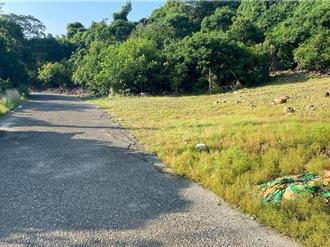 高雄建商命案！女儿死因出炉 重伤父抢救6天家属忍痛拔管