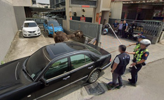 台中警圍捕鴕鳥全入鏡 Google街景立功 曾助破兇殺案