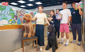 AI取代2成人力   營收反增逾20％！她國中畢業自學AI戰勝缺工