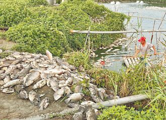 電線老舊釀禍 麥寮魚塭斷電損百萬