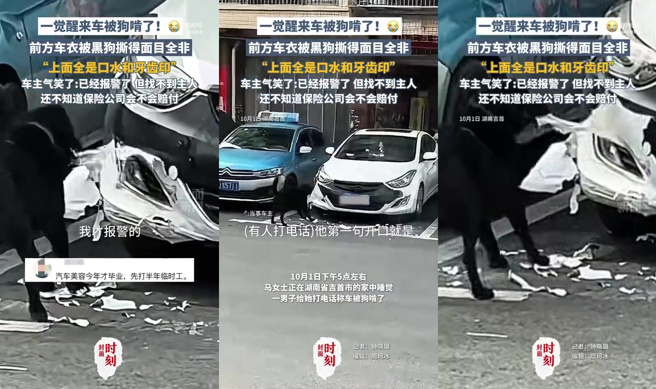 一頭戴著項圈的黑狗正對白色轎車展開「瘋狂進犯」，前保險桿被撕咬得破壞，車身佈滿觸目驚心的牙印與口水，零件散落滿地，排場相當狼狽。（圖／翻攝微博）