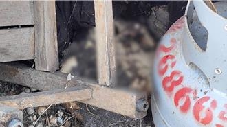 苗栗苑里废弃仓库惊现白骨   疑似3年前失踪老翁