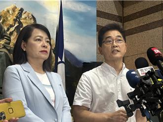 國民黨拍板  黨魁選舉政見發表電視版照辦  分區減為3場